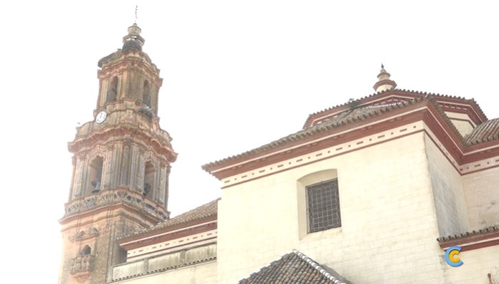 Las cajas nido se han colocado en iglesias de municipios del Condado de Huelva