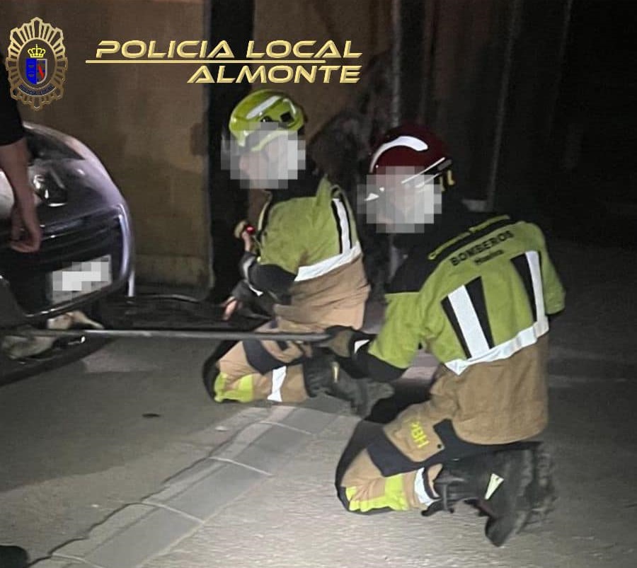 Bomberos rescatan el perro atrapado
