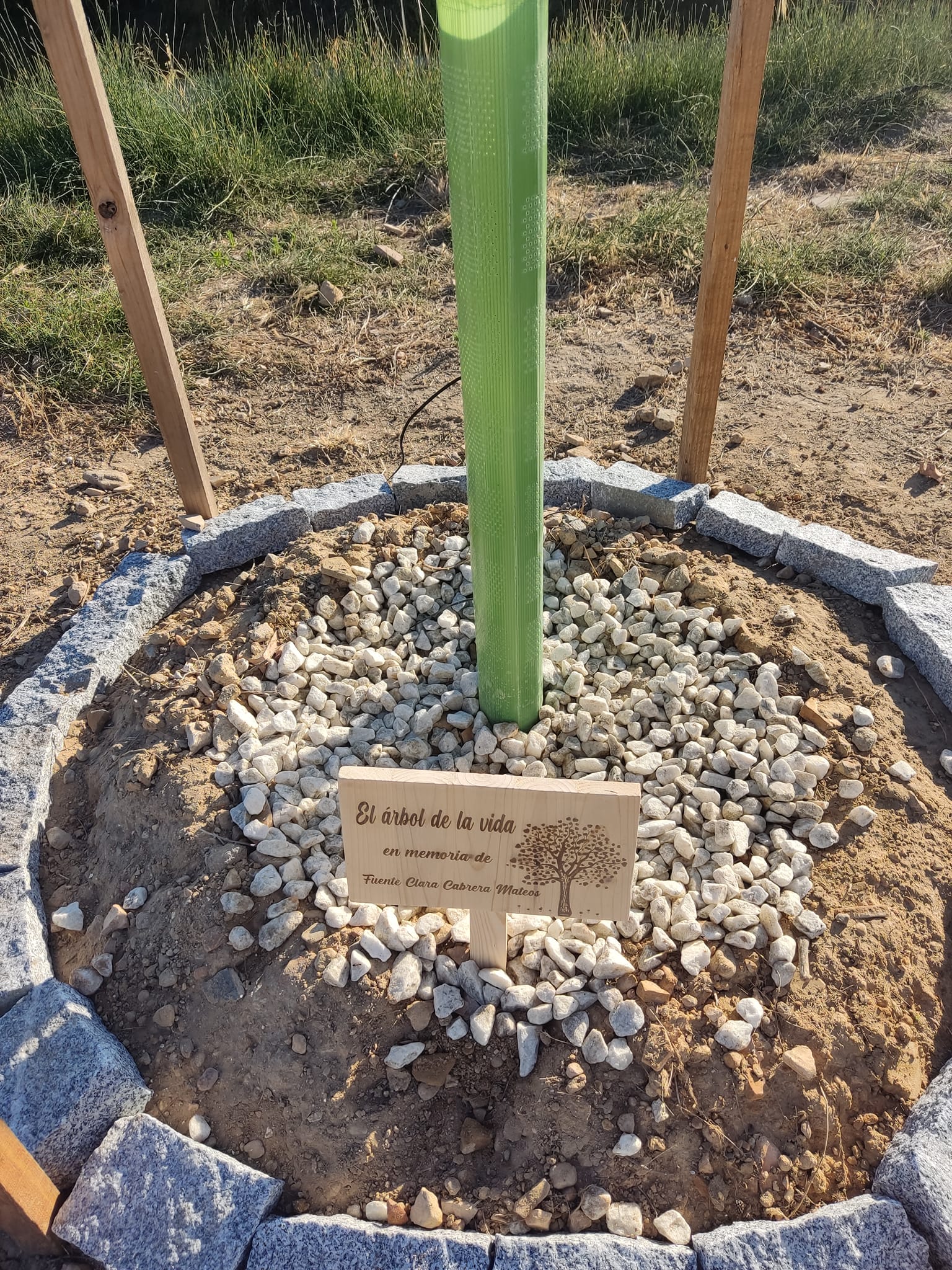 Se plantó un pino en cada municipio que Antonio recorría. Fuente: Facebook de Antonio Bendala