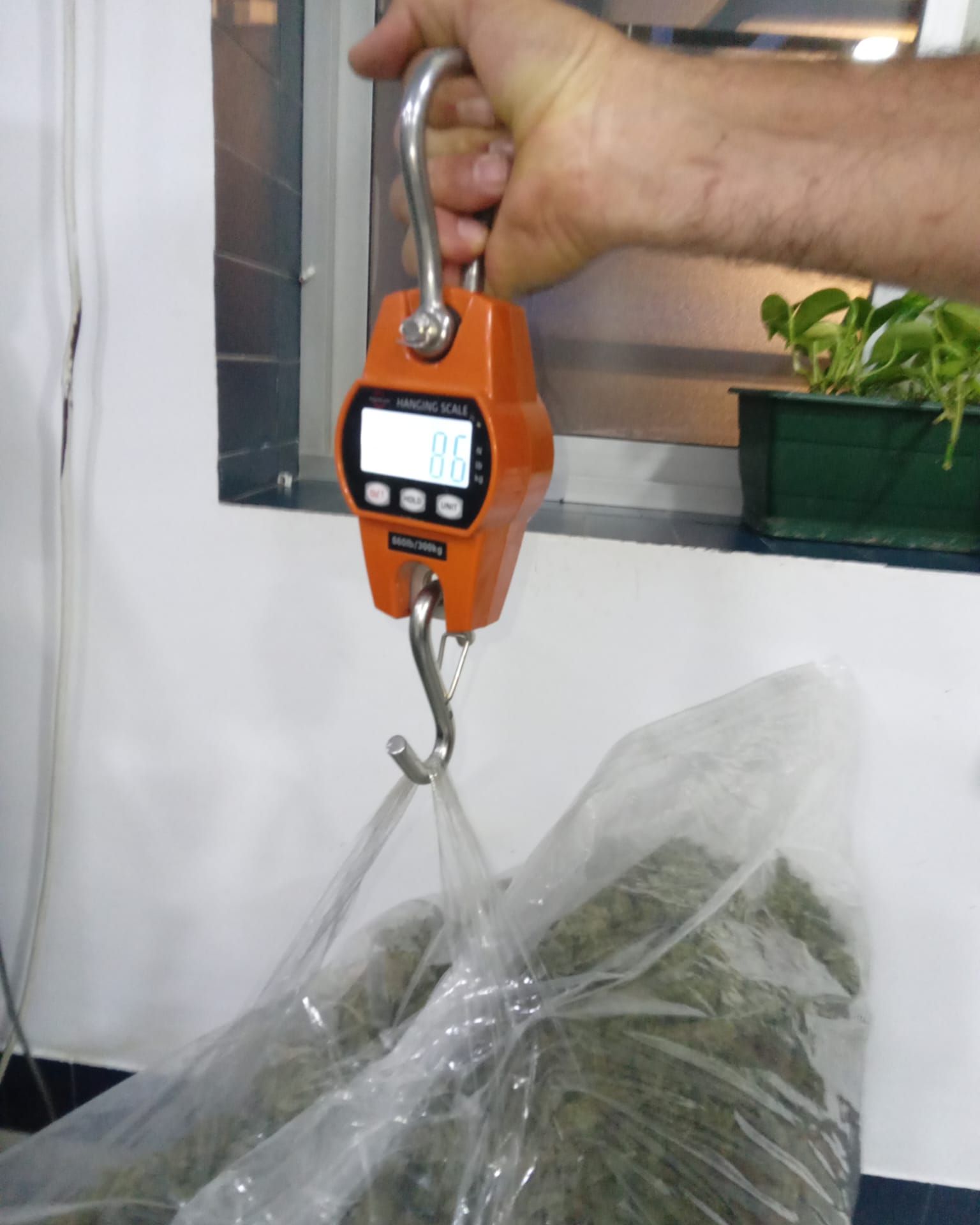 La cantidad intervenida asciende casi a los 9 kilos de marihuana. Fuente: Ayto Bollullos.