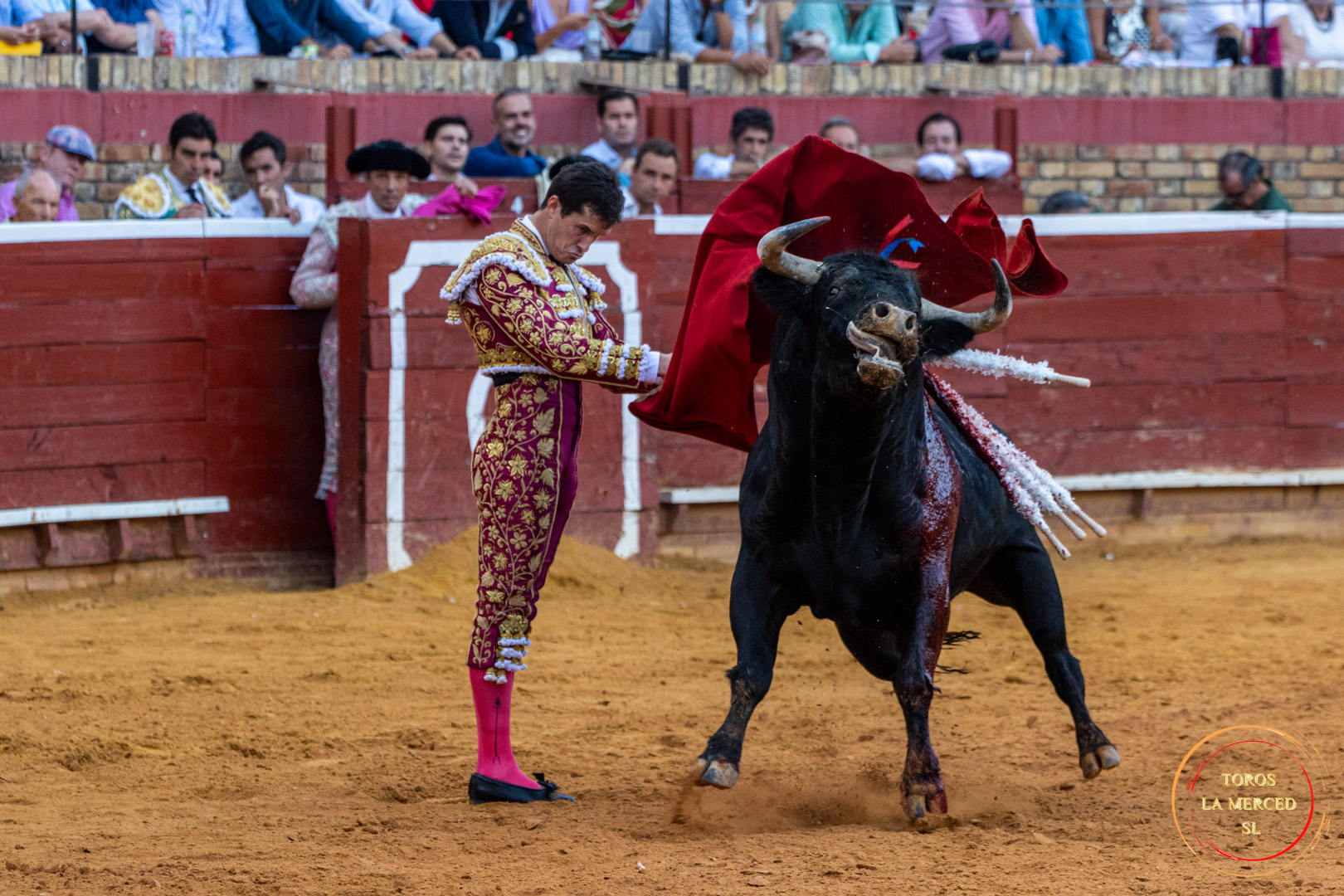 Cuarto día de toros 10
