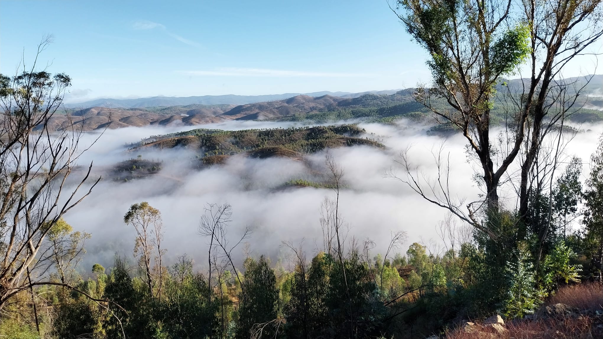 Niebla en la Sierra de Aracena