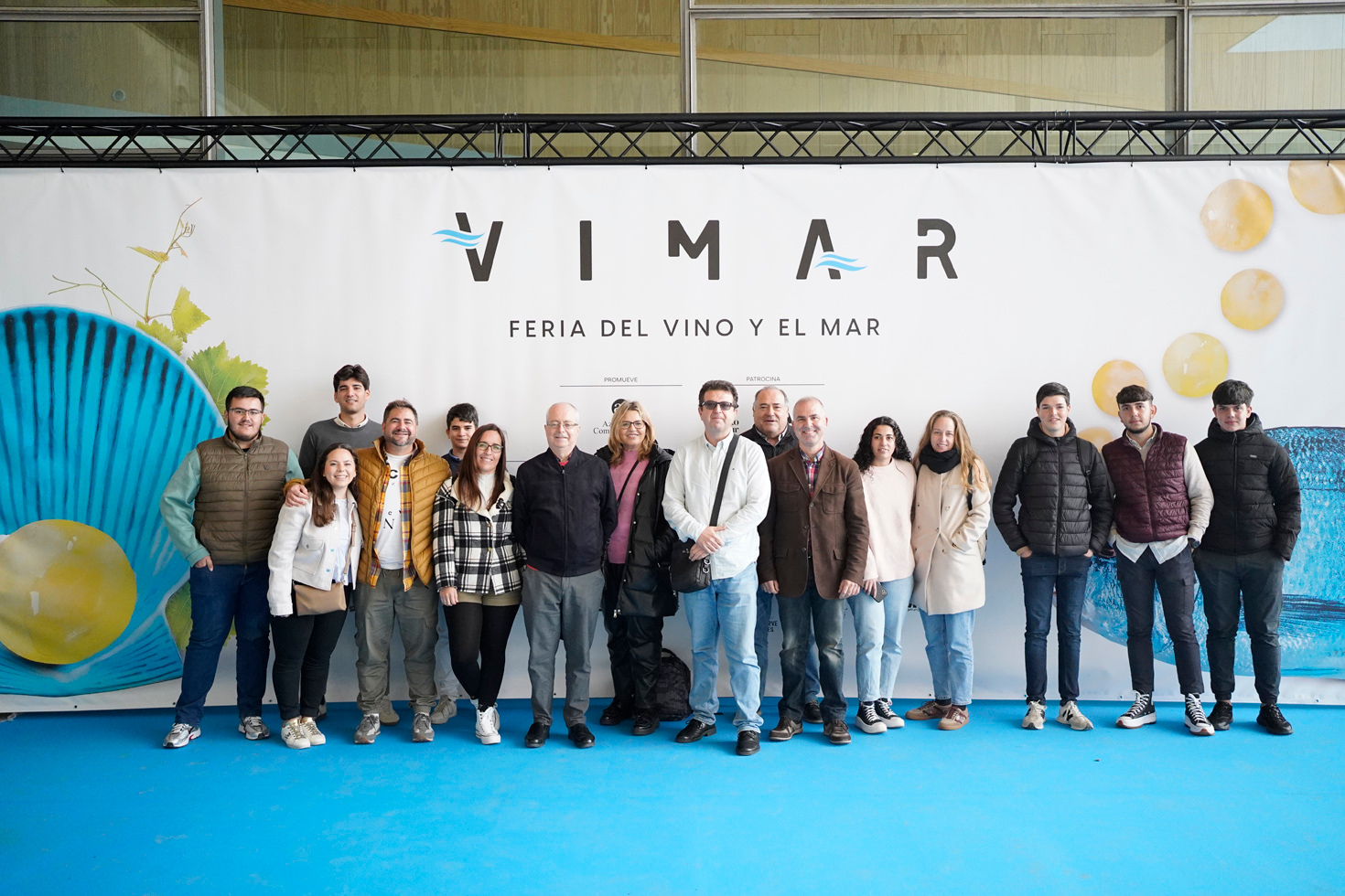 VIMARDIA241