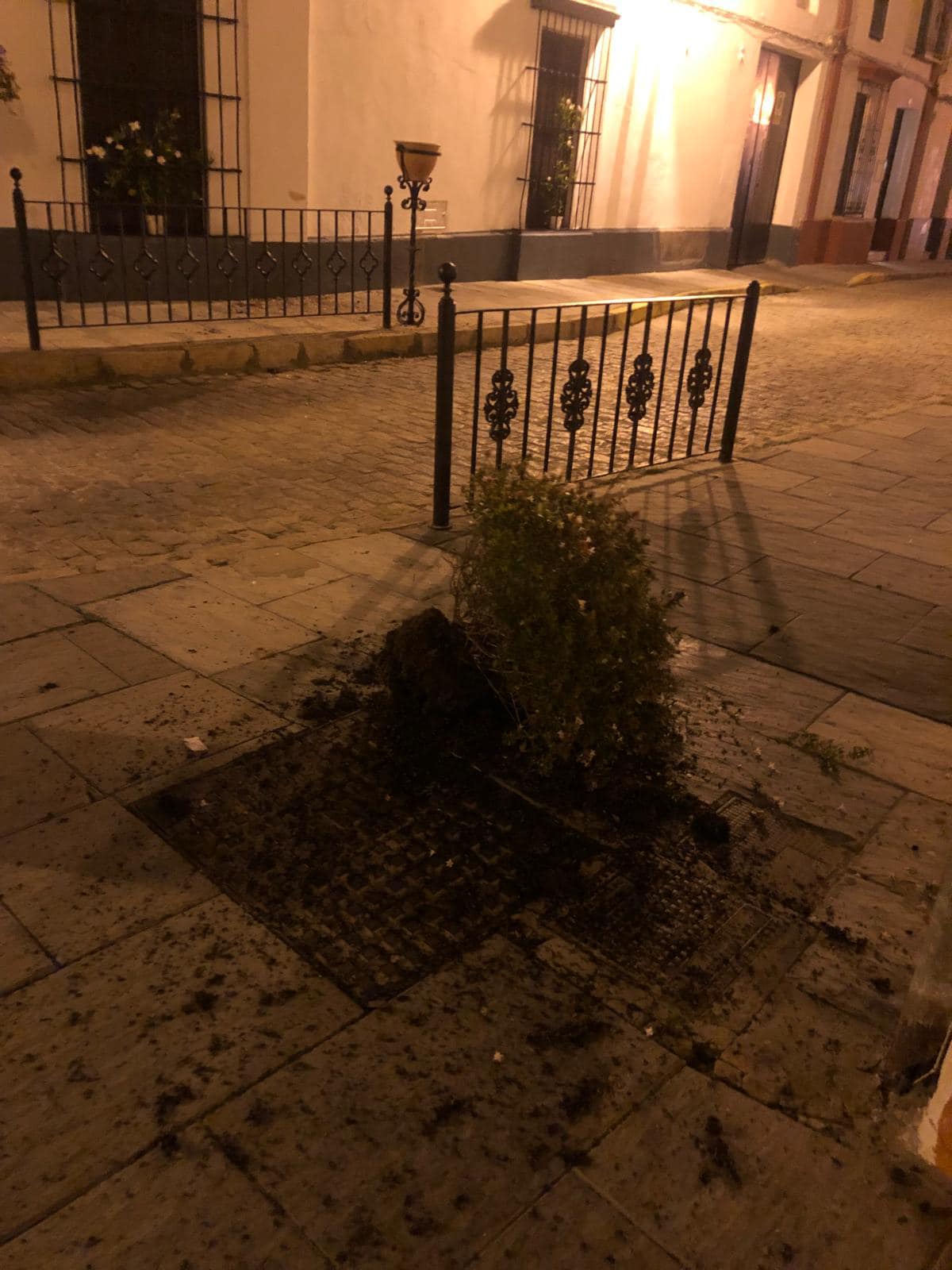 Foto: Ayuntamiento de Almonte