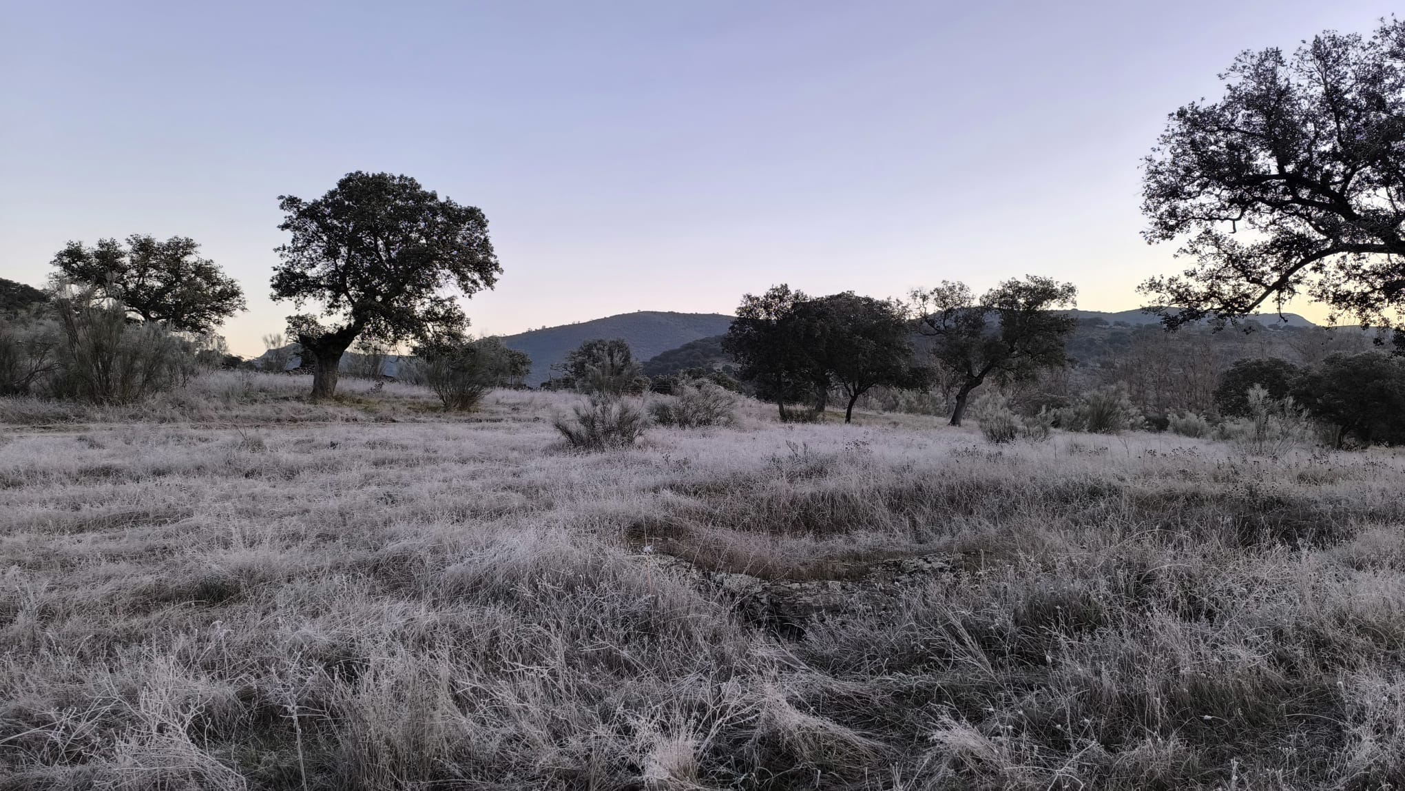 Helada en la Sierra de Aracena y Picos de Aroche | R. Caballero