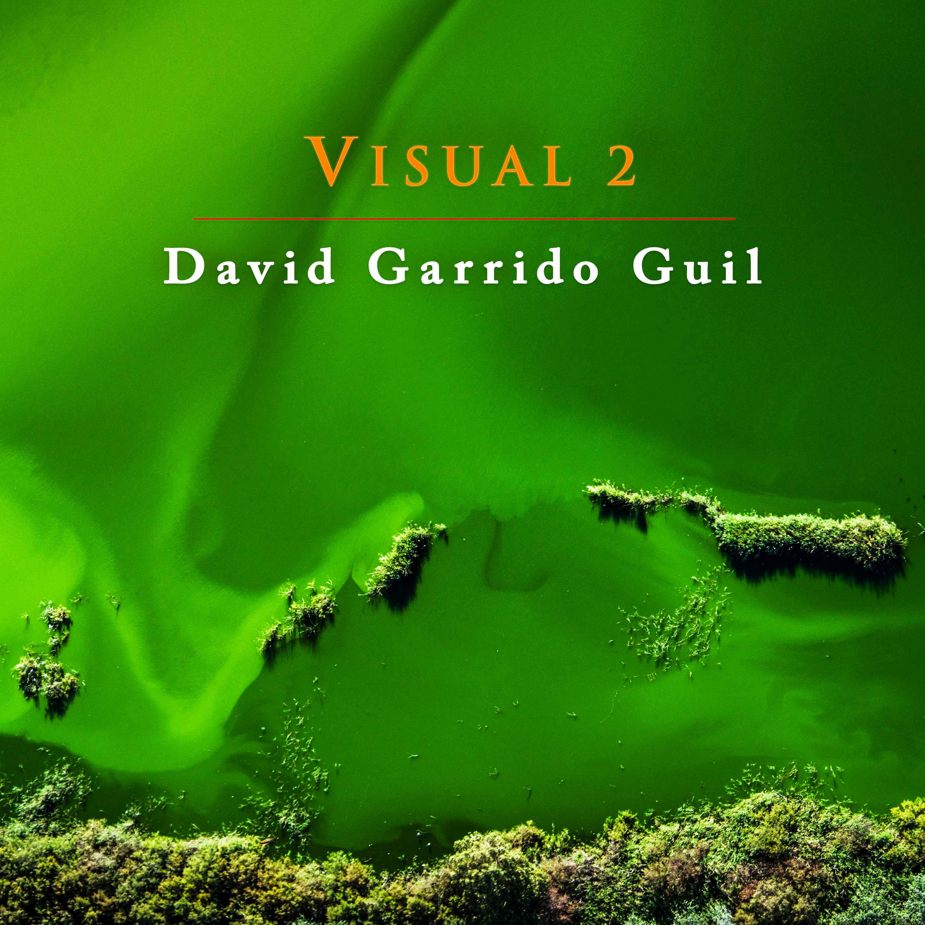 David Garrido Guil - Visual 2