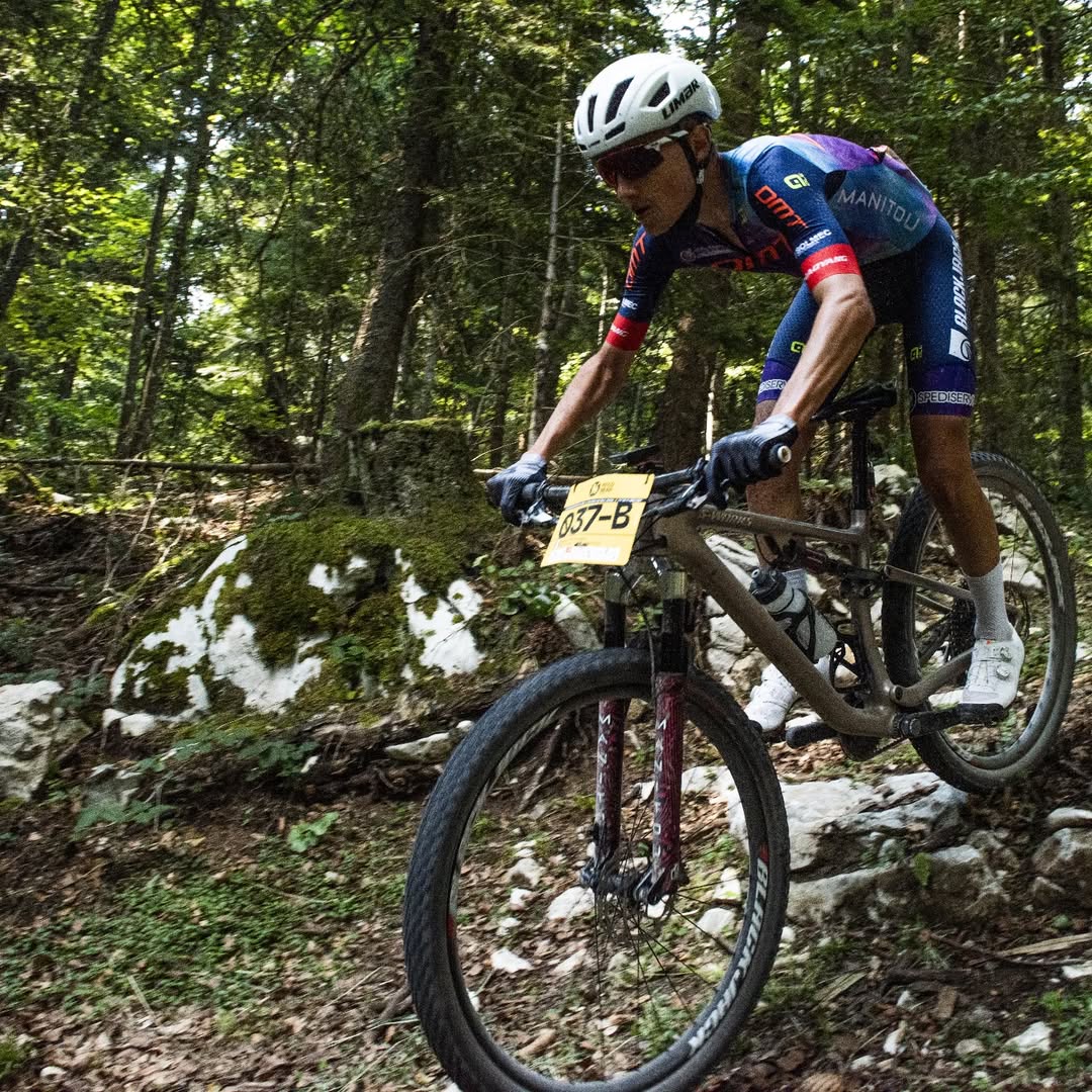 Mattia Toccafondi