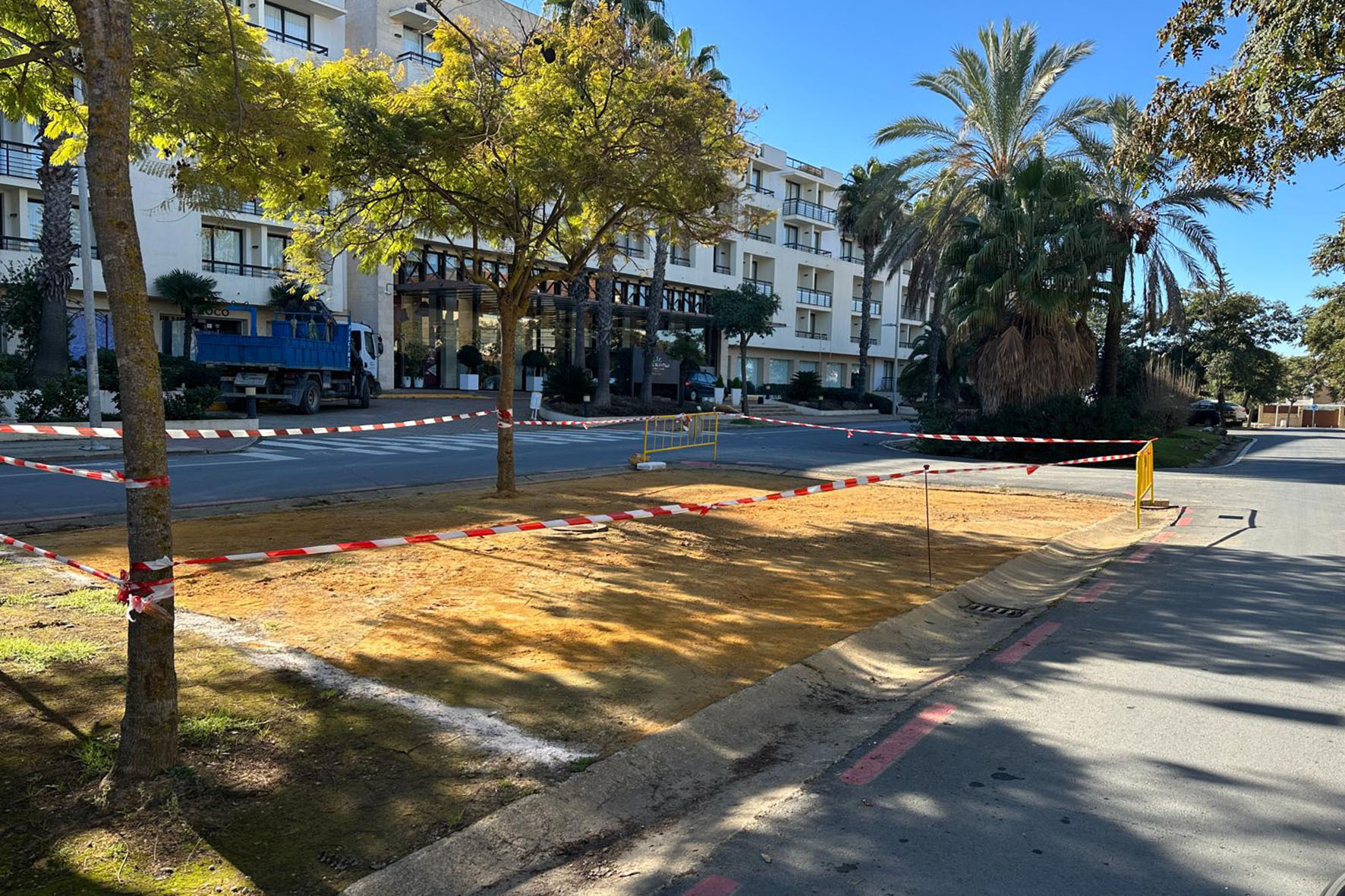 1Albero Avenida de Islantilla 01