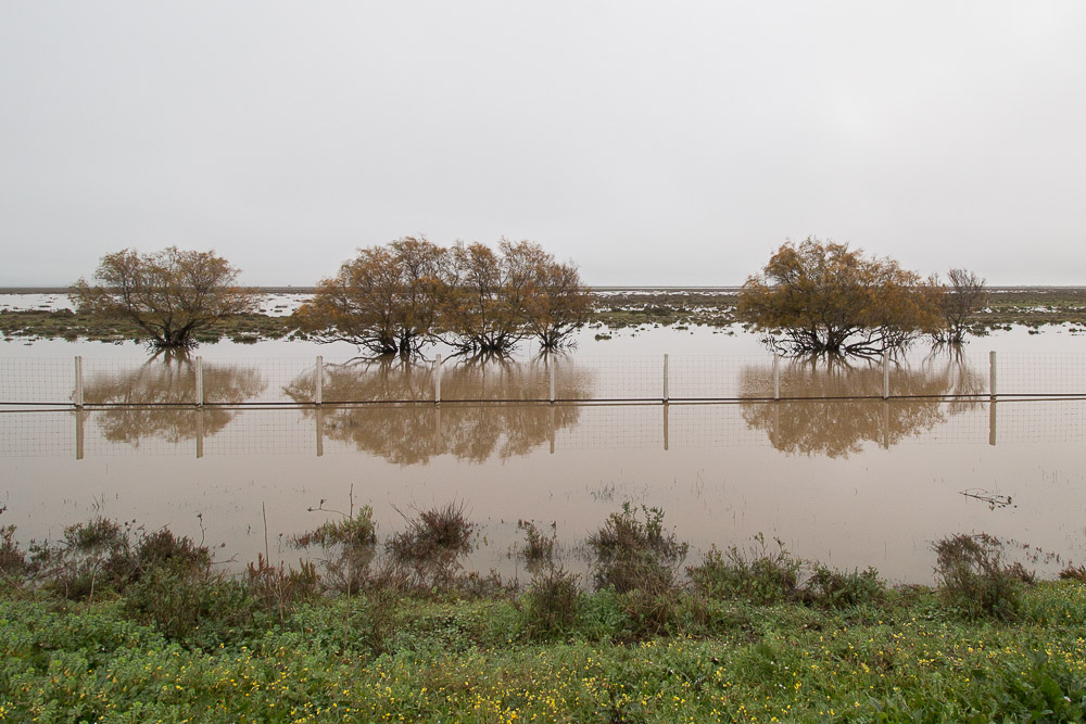 Foto: Discovering Doñana
