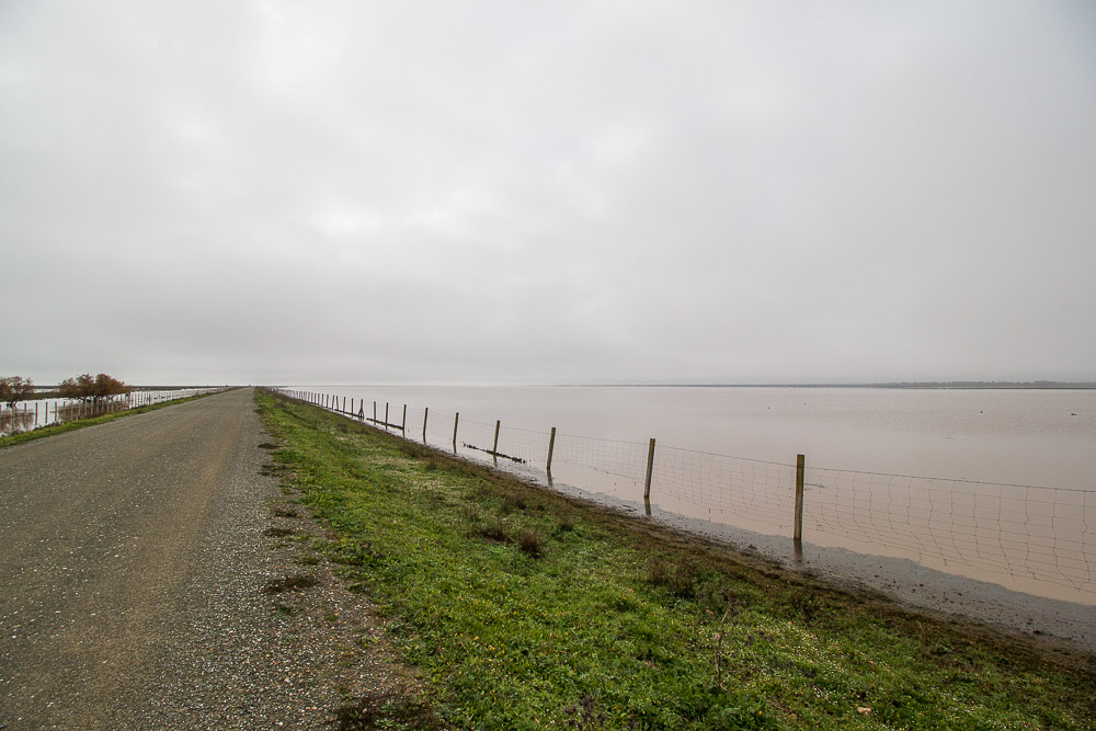 Foto: Discovering Doñana