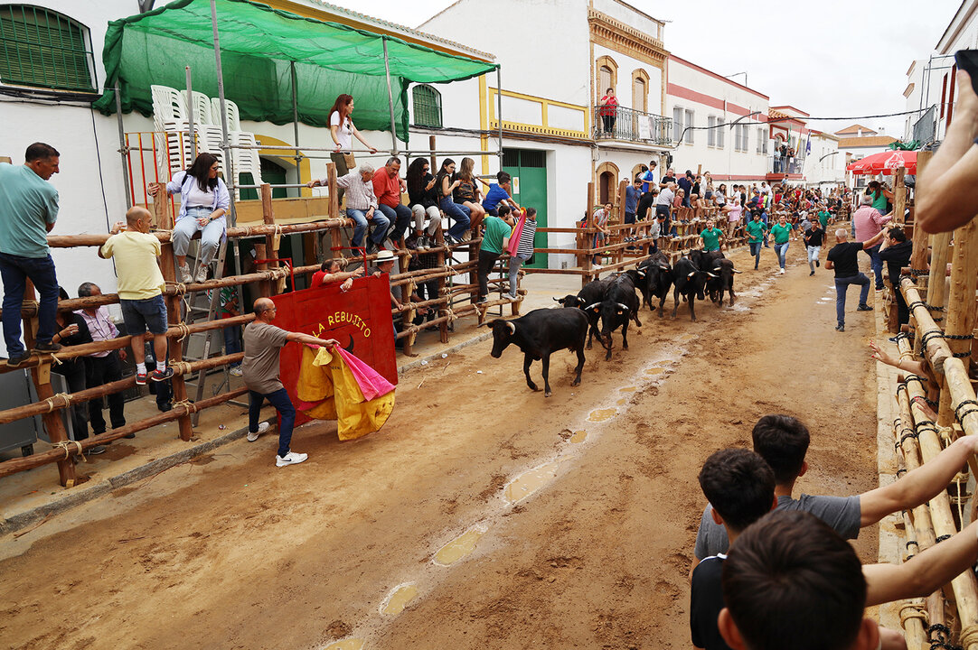 Los tradicionales encierros de las fiestas patronales sanjuaneras