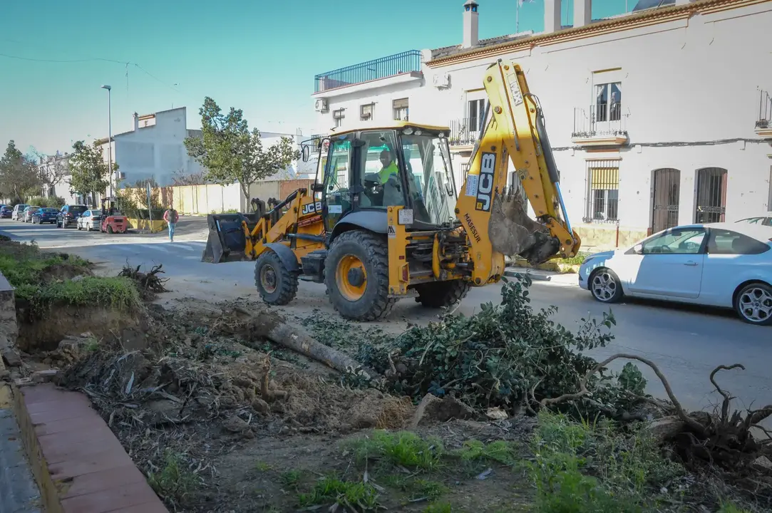 Obras de regeneración del casco urbano de Almonte | Ayuntamiento de Almonte