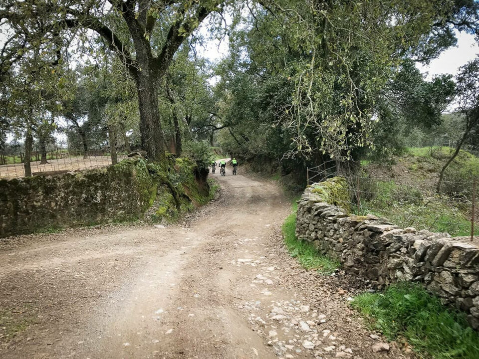Cicloturismo | DPH