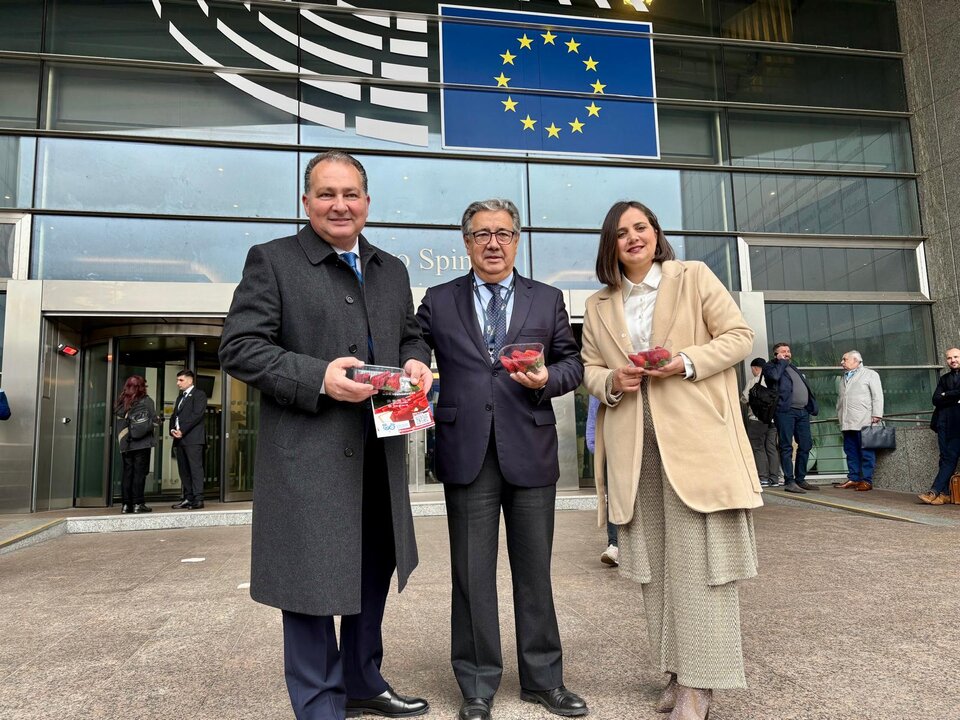 Se reparten fresas de Huelva a las puertas del Parlamento Europeo