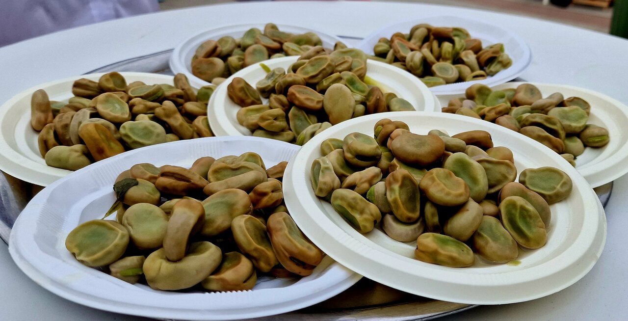 Platos de habas con poleo