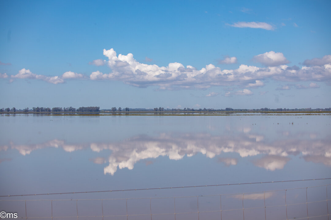 doñana