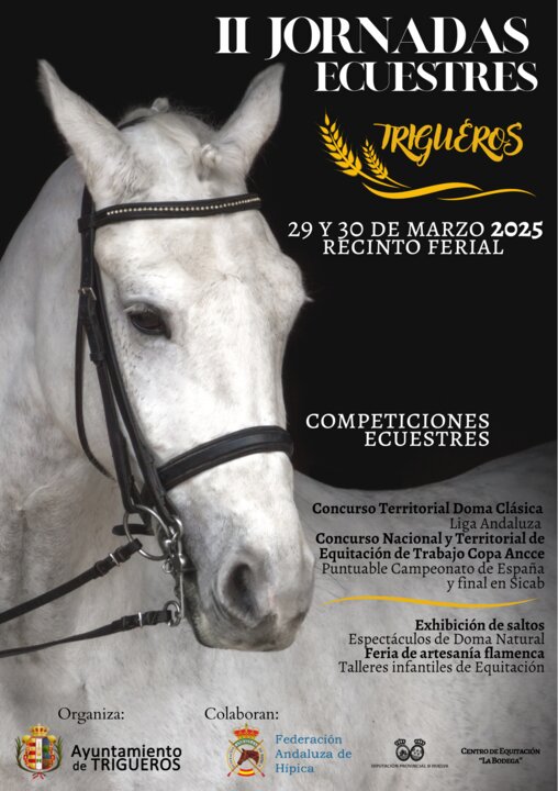 Cartel de las II Jornadas Ecuestres de Trigueros