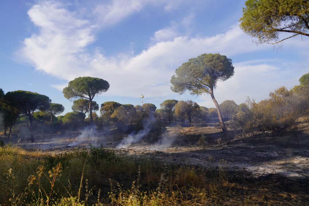 Incendio en Moguer. Fuente: Ayto. Moguer