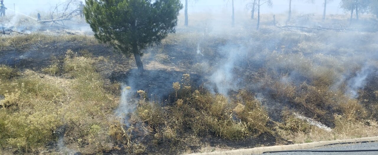 Arden pastos en la cuneta de la H-31
