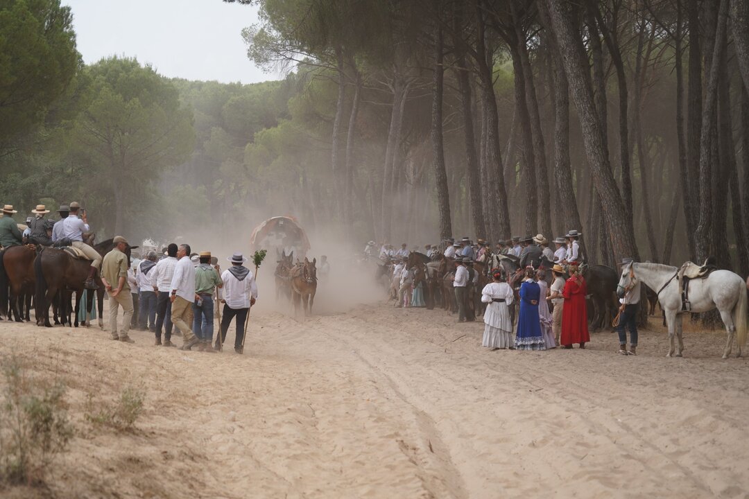 Fuente: Ayto. Moguer