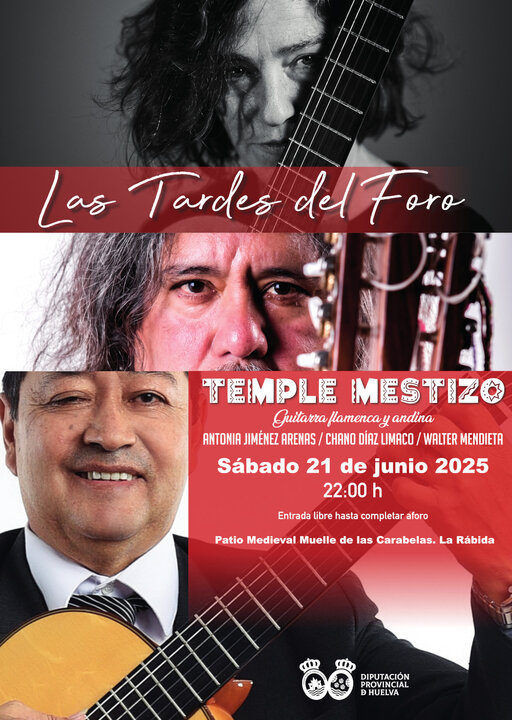 tarde-foro-vertical-andino