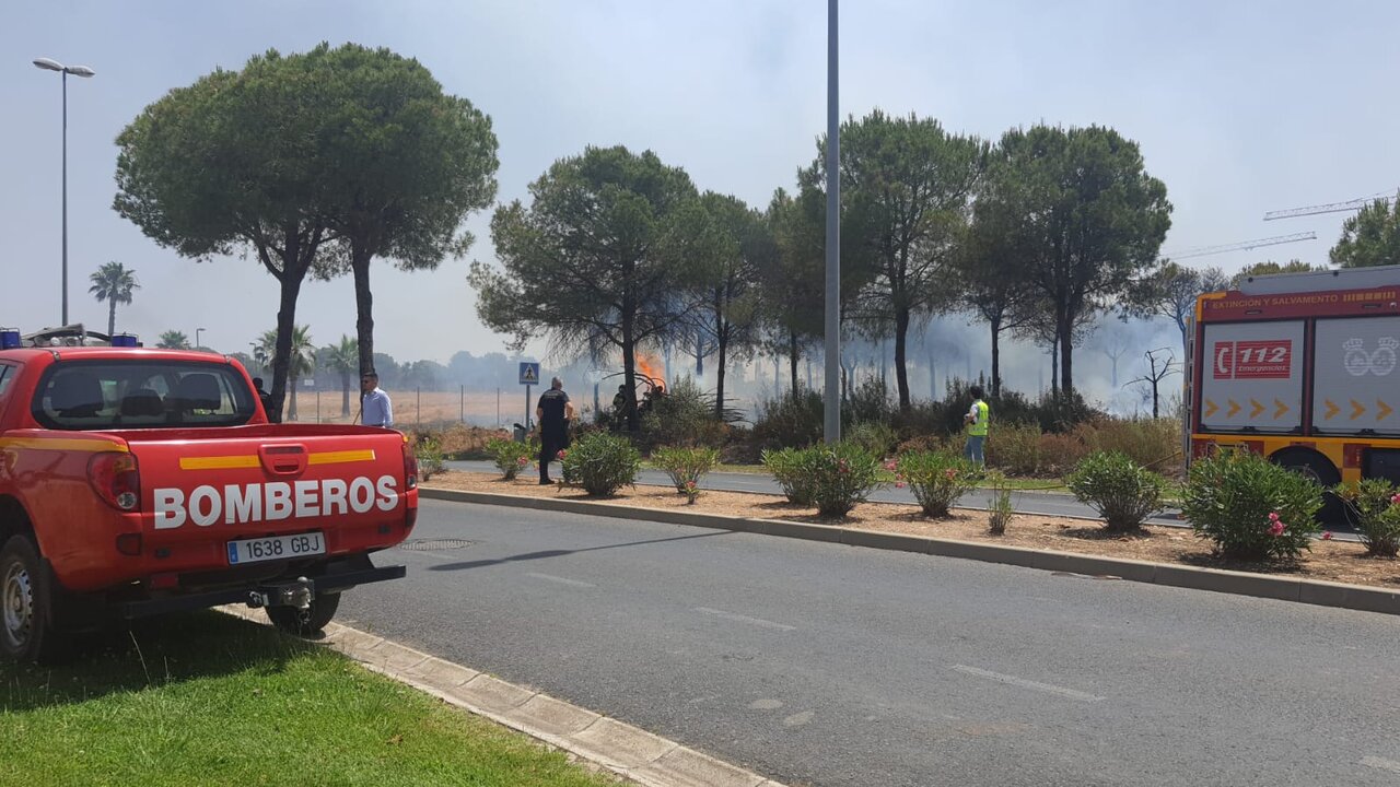 Bomberos del Consorcio se emplean a fondo en La Monacilla