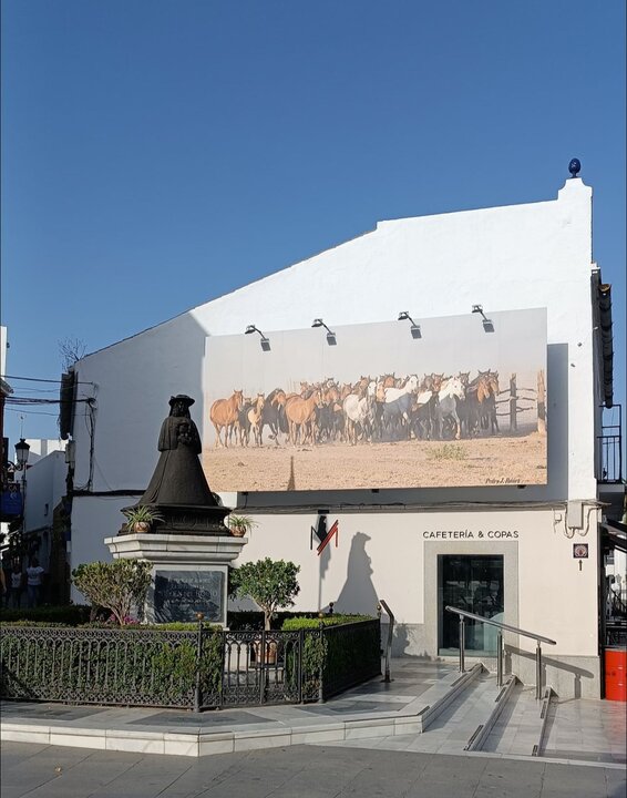 Fuente: Ayto. Almonte