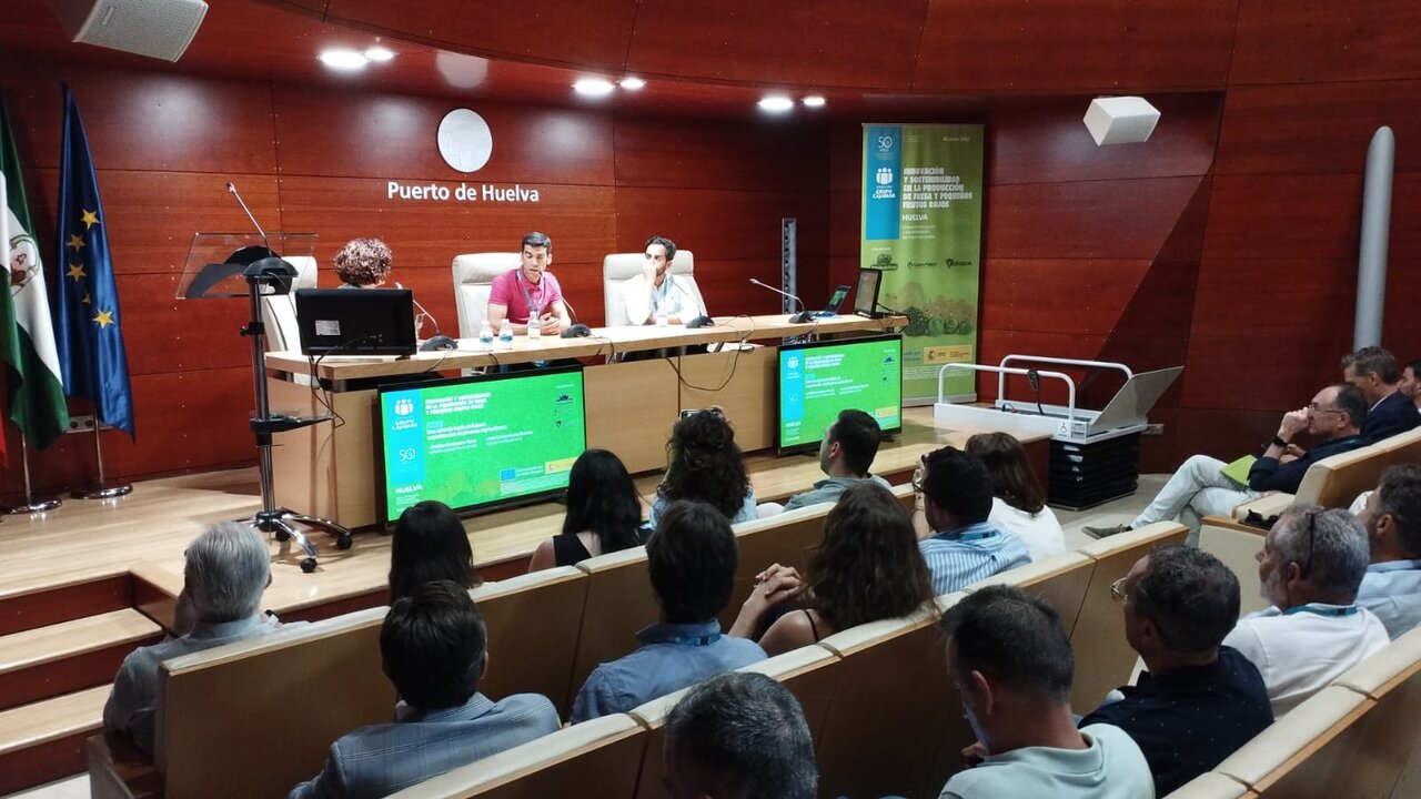 WhatsApp Image 2025-06-26 at 10.28.28 (1)