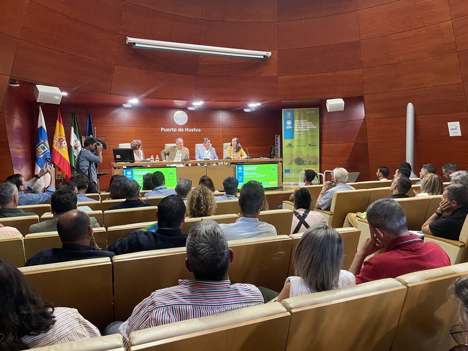 Mesa redonda