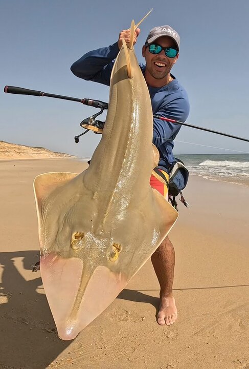 Pez guitarra en la costa de Huelva. Fuente: Instagram Pesca Huelva