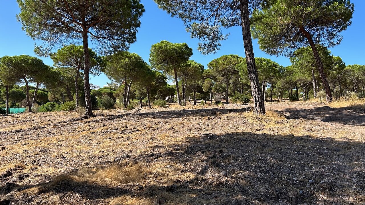 Ayto. Cartaya