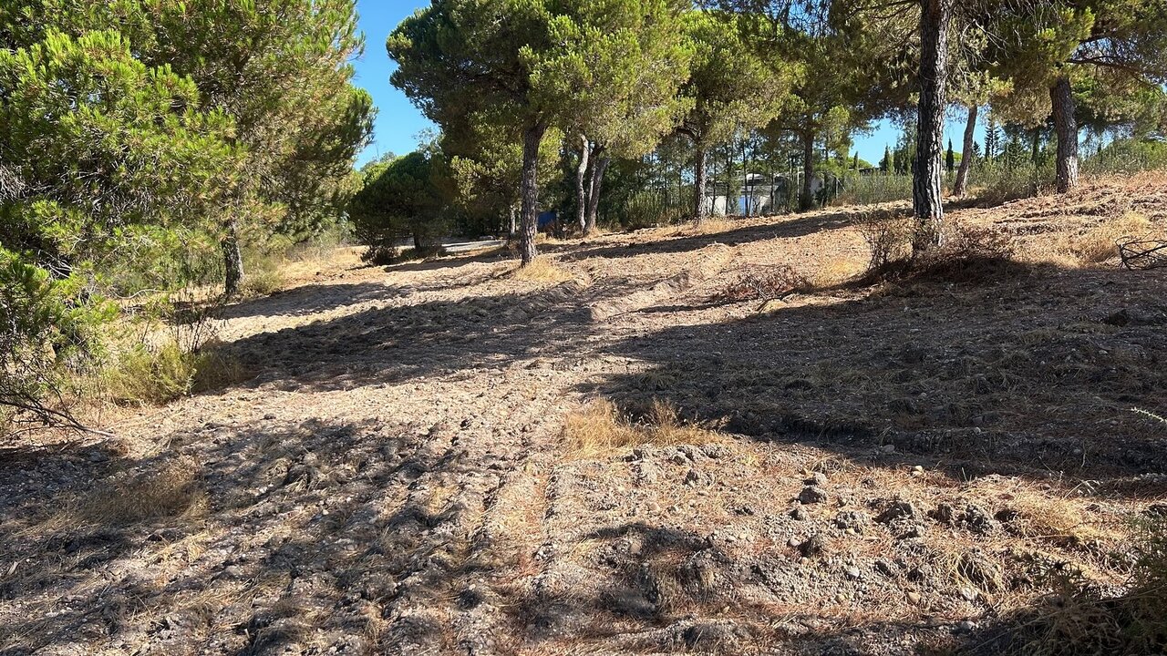 Ayto. Cartaya