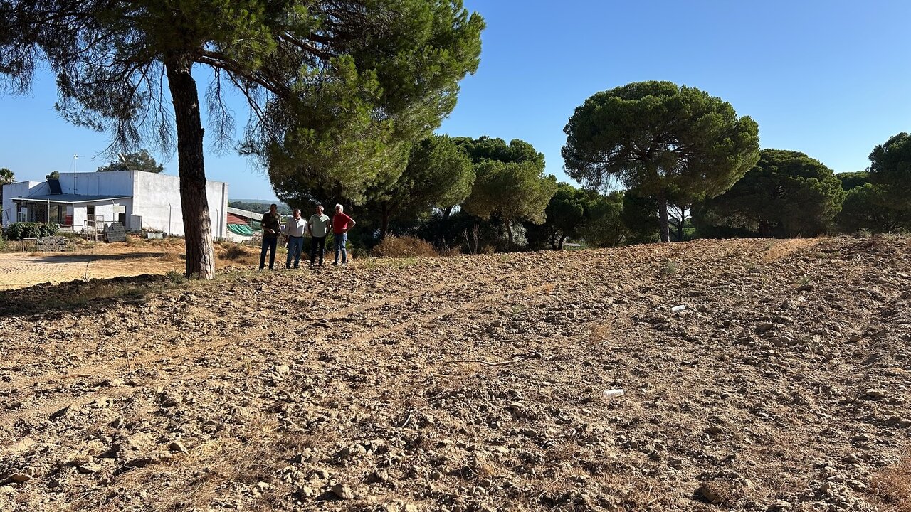 Ayto. Cartaya
