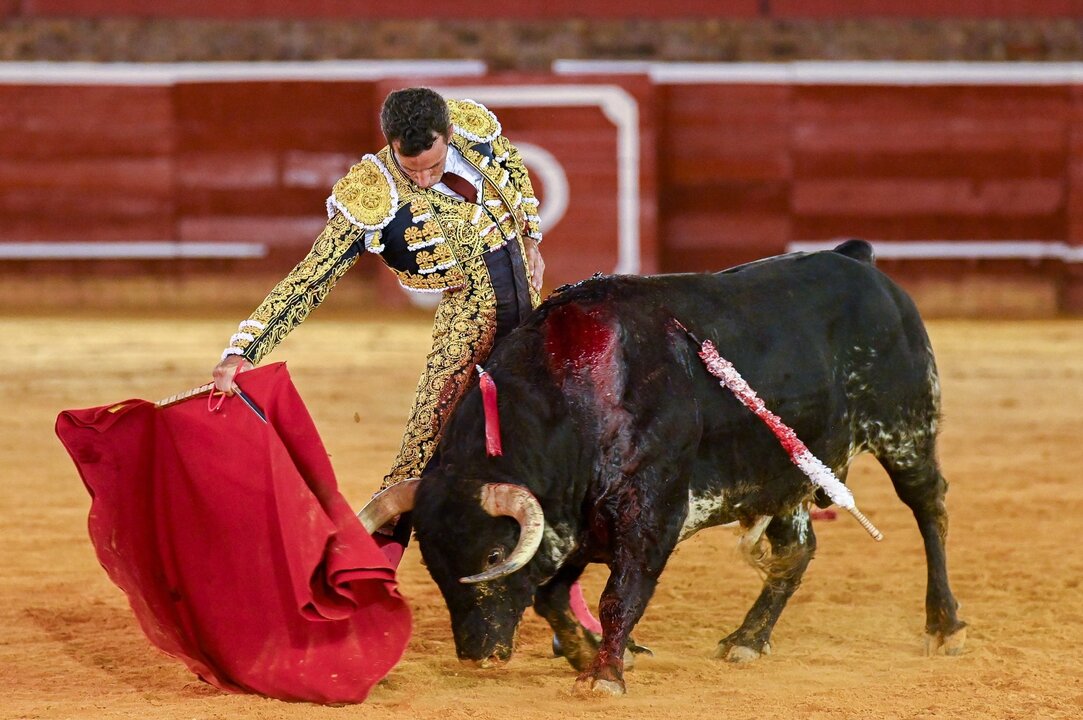 Fuente: David de Miranda.