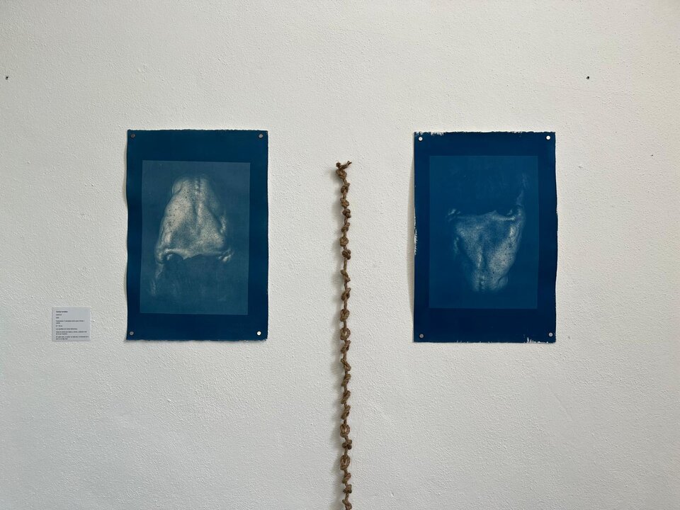 Fuente: María Álvarez