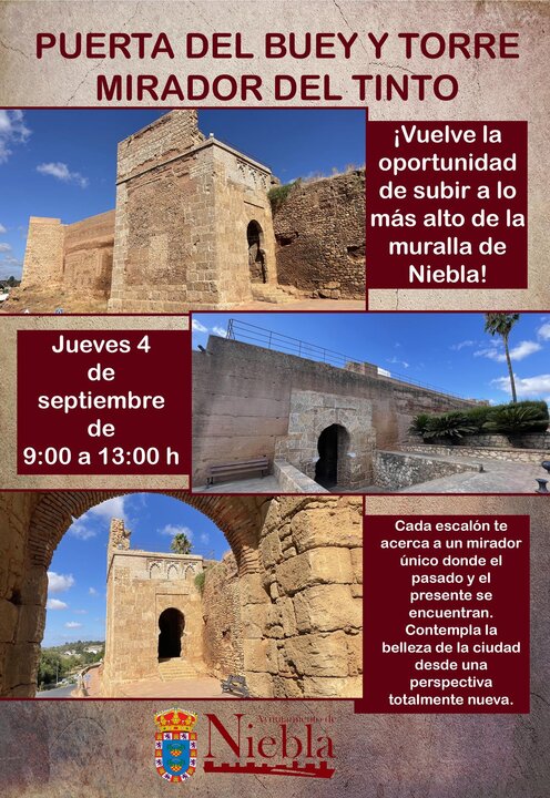 Fuente: Ayto. Niebla