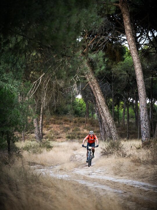 HUEX NON STOP 2025. Fuente: Diputación de Huelva