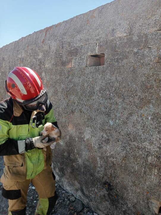Un bombero rescata al cachorro atrapado de Paterna del Campo. Fuente: Sab Bomberos Huelva Provincia