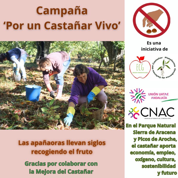 Campaña Por un Castañar Vivo 2025 carteles informativos