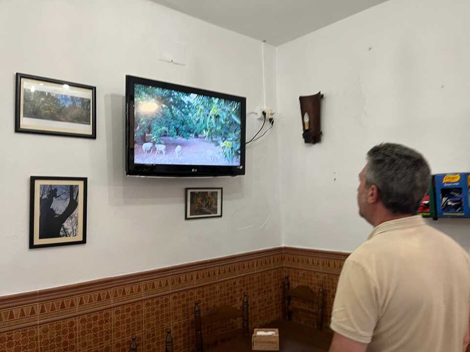 Por un castañar vivo 2025 exposición - Archivo Tristancho-Lieva (21)