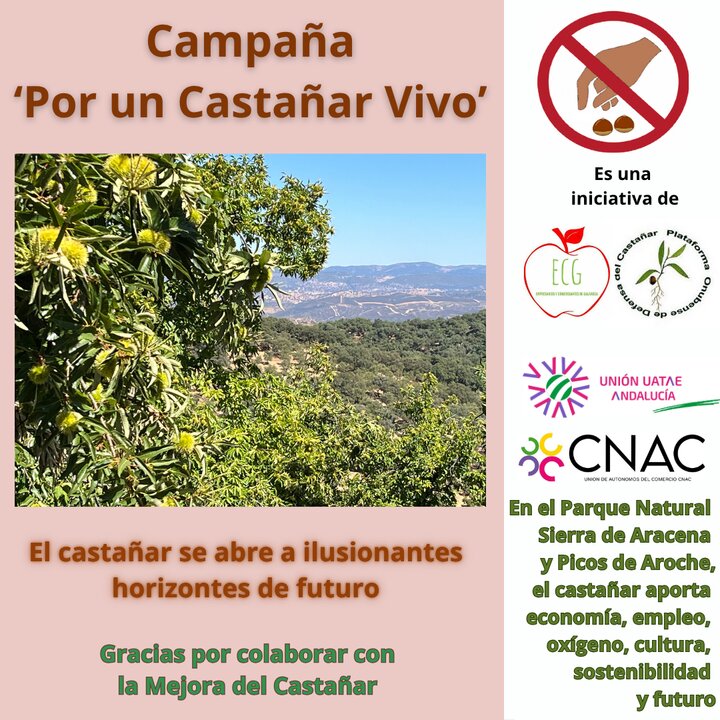 Campaña Por un Castañar Vivo 2025 carteles informativos