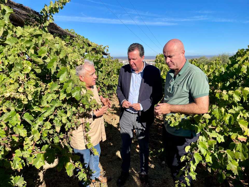 Fuente: PP Huelva