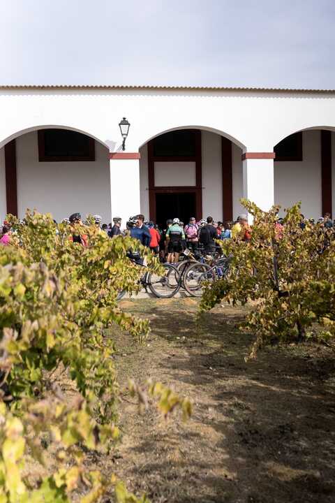 La parada de avituallamiento se realizó en Bodega Marqués de Villalúa