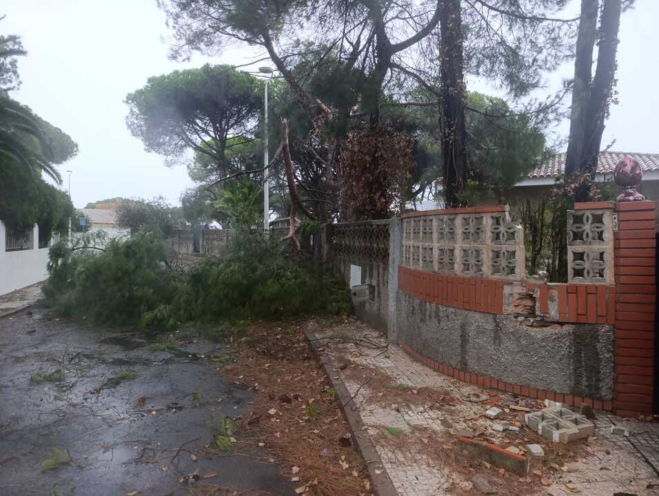 Fuente: Facebook Ayuntamiento de Cartaya