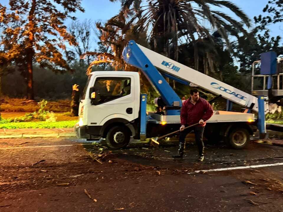 Así trabaja Ayamonte tras los numerosos desperfectos de la borrasca Claudia. Fuente: Ayto. Ayamonte