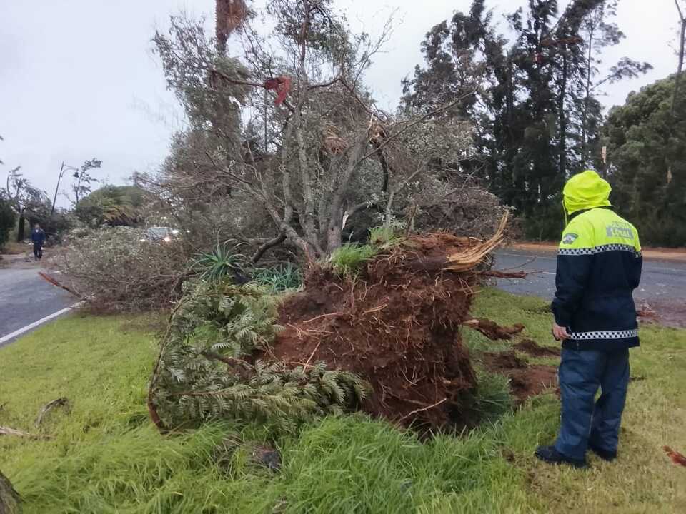 Así trabaja Ayamonte tras los numerosos desperfectos de la borrasca Claudia. Fuente: Ayto. Ayamonte
