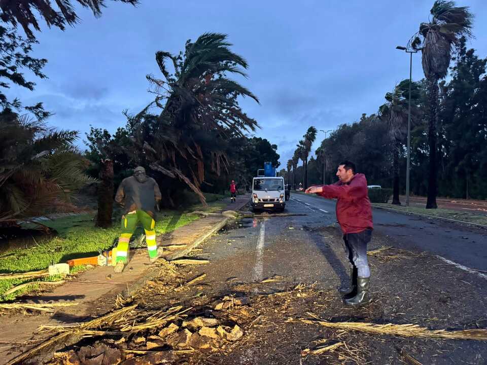 Así trabaja Ayamonte tras los numerosos desperfectos de la borrasca Claudia. Fuente: Ayto. Ayamonte