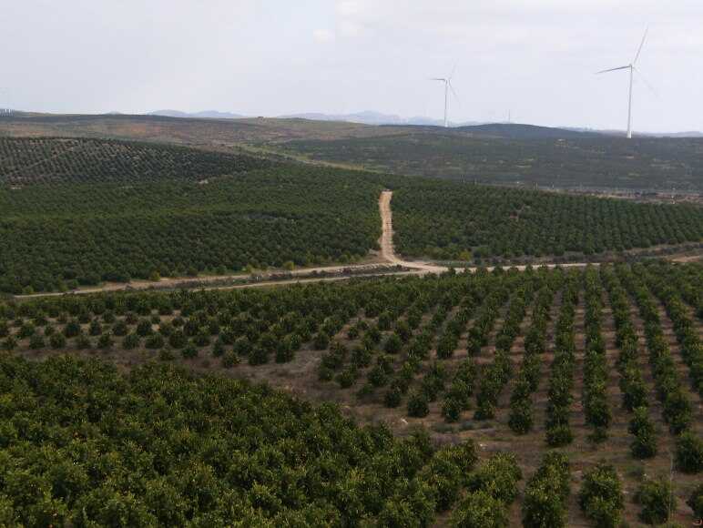Imagen de Campo Baldío