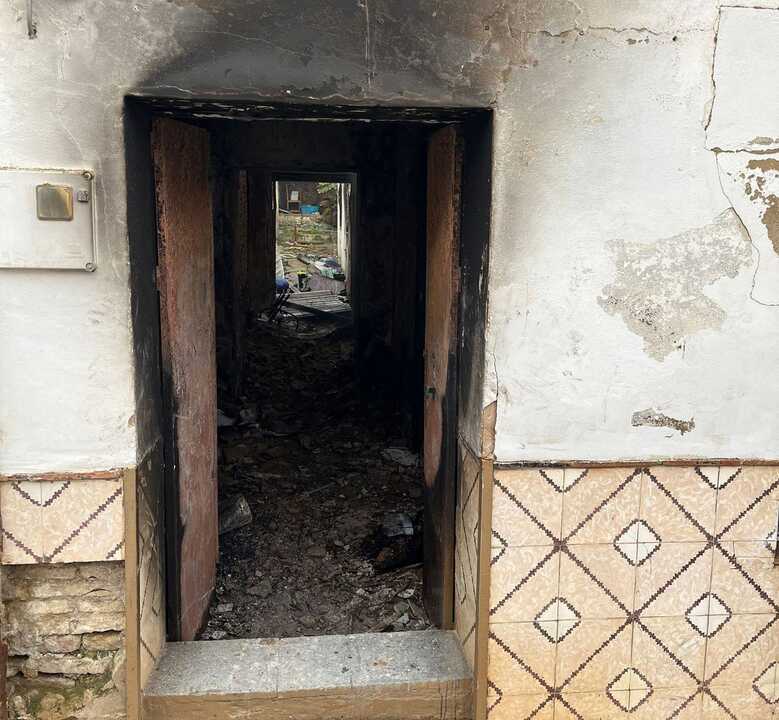 Varios animales murieron a causa del fuego
