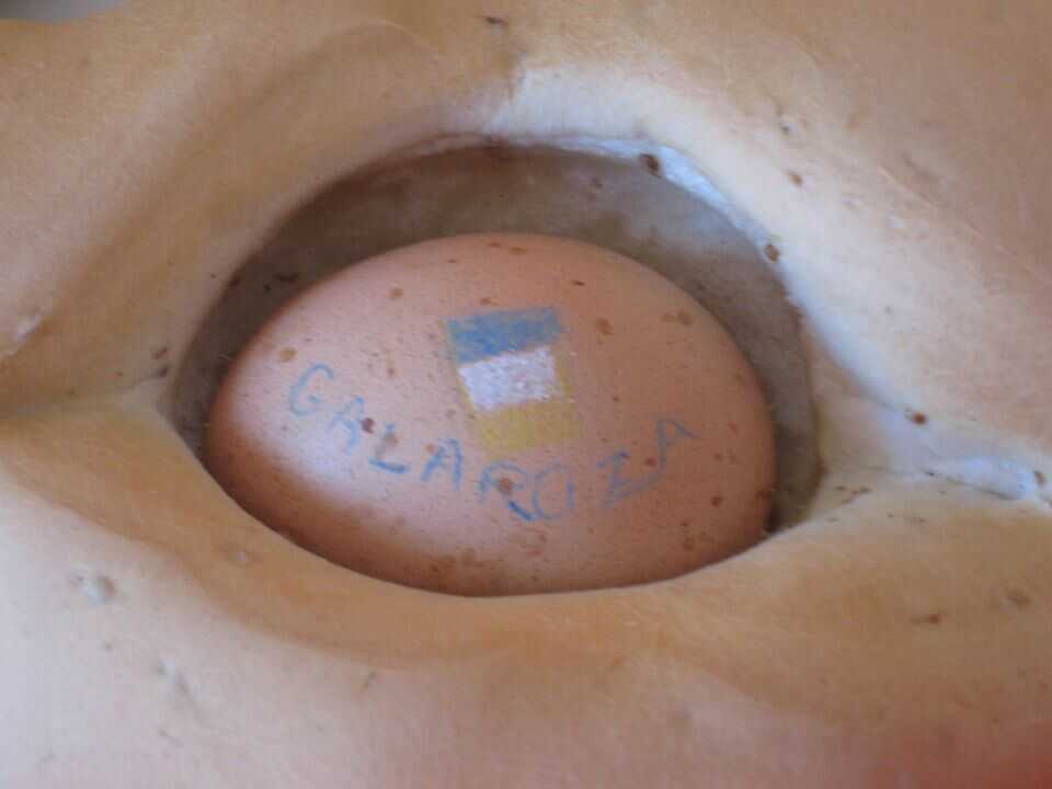 Dia-del-Huevo-y-El-Bollo